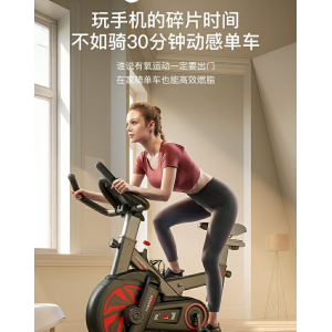 动感单车家用运动器材健身车室内脚踏自行车