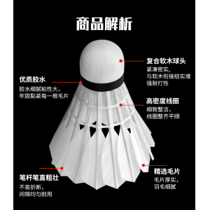 正品李宁羽毛球12只装